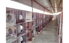 維書養兔設備廠 瓷磚兔籠配件 水泥兔籠配件