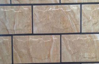 墻壁瓷磚有哪些種類 墻壁瓷磚價格舉例